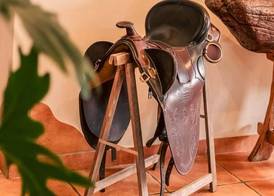 Villa Chad Luxury Guesthouse 5