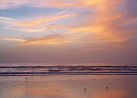 Best Western New Smyrna Beach Hotel & Suites 3
