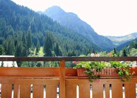 Alpenhotel Widderstein 3
