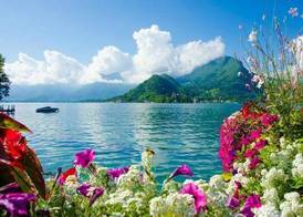 Ace Hotel Annecy 3