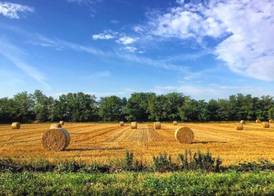 Agriturismo Cascina Magana 3
