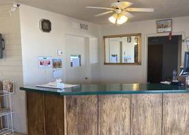 OYO Hotel Yuma AZ Desert Grove 5