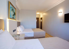Palette Grand Ant Hotel Istanbul 3