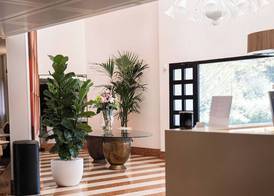 Da Porto Vicenza Apartments 5