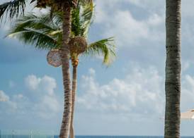 The Beachfront By The Fives 5