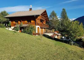 Chalet Le Paradou 3