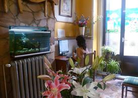 Hostal Comercial 5