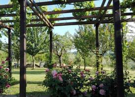B&B Antegiano 5