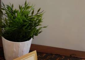 Guesthouse Carina 3