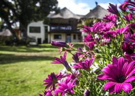 Winelands Villa Guesthouse and Cottages 3
