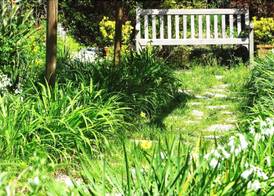 B&B La Salamandra Kitchengarden 5