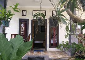 Double N Guesthouse 2