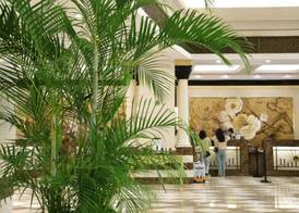 Grand Hotel Nanjing 2