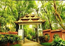 Kairali - The Ayurvedic Healing Village 2