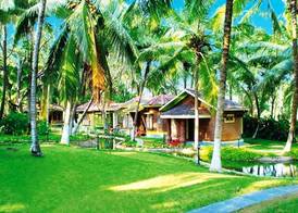 Kairali - The Ayurvedic Healing Village 4