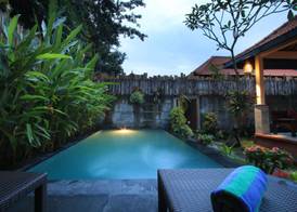 The Forest Villa Ubud 4