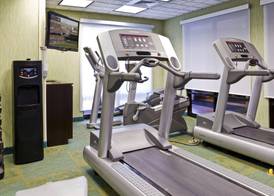 Holiday Inn Express & Suites Sarasota Bradenton by IHG 5