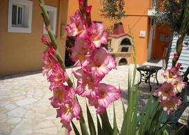 STUDIOS ERIETTA 4