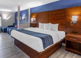Comfort Suites St Louis - Sunset Hills 5