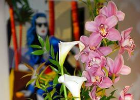 Oz'Inn Hôtel & Spa 4