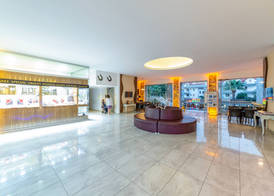 alenz suite 5