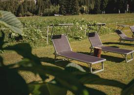 Pension Steinkogel 3