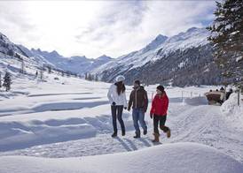 Bernina Express Eco Rooms&Breakfast 2