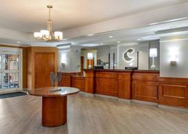 Comfort Inn & Suites Hadley - Amherst 2