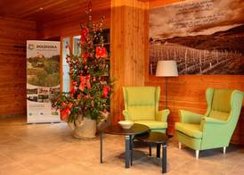 Hotel Dolenjc 3