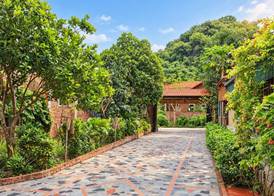 Ninh Binh Greenland Homestay 2