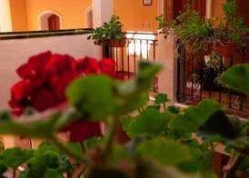 Shoal Apartamentos 5