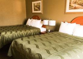 Quality Inn Suites Lincoln Near I-55 2