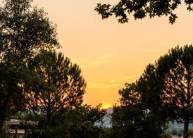 Camping La Pinède 2