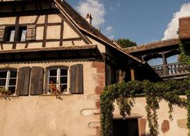 Unter der Linde 3