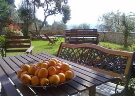 Agriturismo Villa Bissiniga 3
