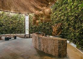 The Brown, Guatape, Autograph Collection 3