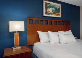 Club Wyndham Tamarack 4