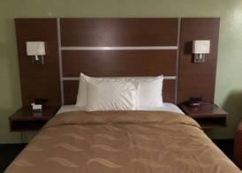 Quality Inn Jackson North 3