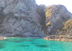 Acquarium Tropea 4