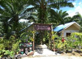 Groovy Bungalows 2