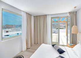 Mykonos Cactus 3