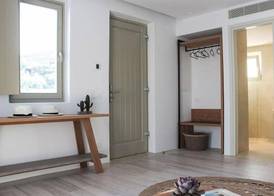 Mykonos Cactus 4