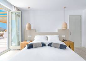 Mykonos Cactus 5