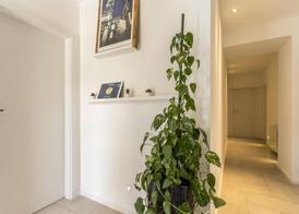 Pansion Casa 3