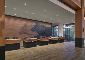 Great Wolf Lodge Cincinnati/Mason 2