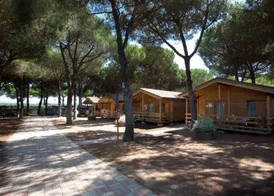 Camping Village Africa 2