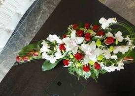 Imperia President 4
