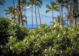 Kihei Beach Paradise Steps to Sun, Sand & Snorkeling 3