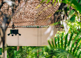 Orchid House Jungle Tulum 5