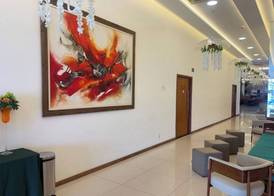 Hotel Santos Dumont Aeroporto SLZ 5